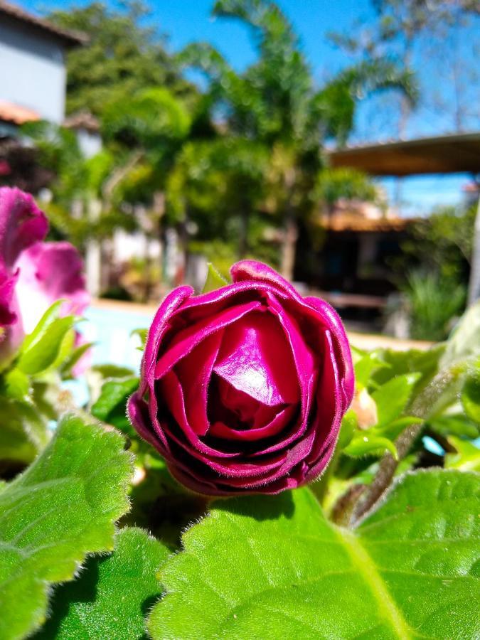 Jardim Secreto Guest House Búzios Eksteriør bilde